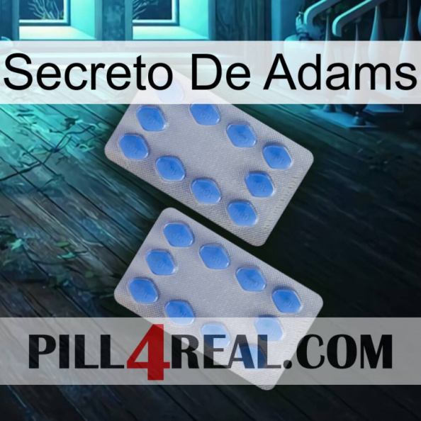 Adams Secret 20.jpg